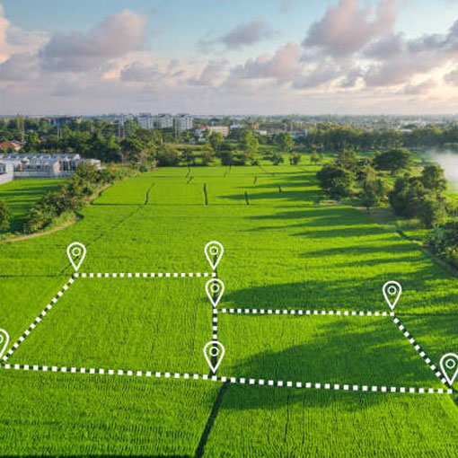 Commercial Land